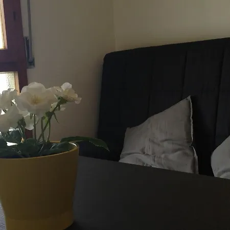Guest house Affittacamere Pisa